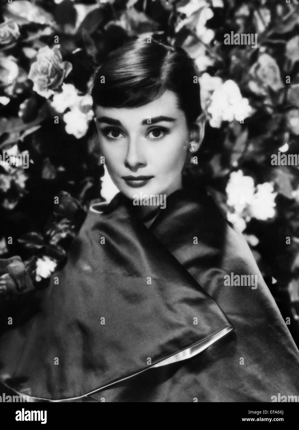 AUDREY HEPBURN SCHAUSPIELERIN (1954) Stockfoto