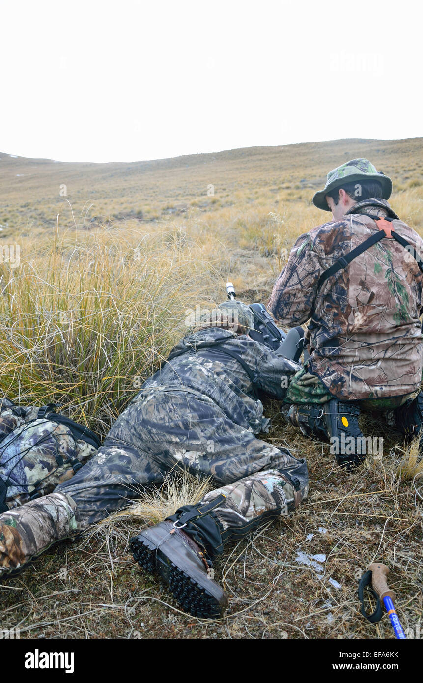 Jäger nimmt einen Schuss auf eine Himalaya-Tahr auf die Skyline auf der Südalpen Neuseelands Stockfoto