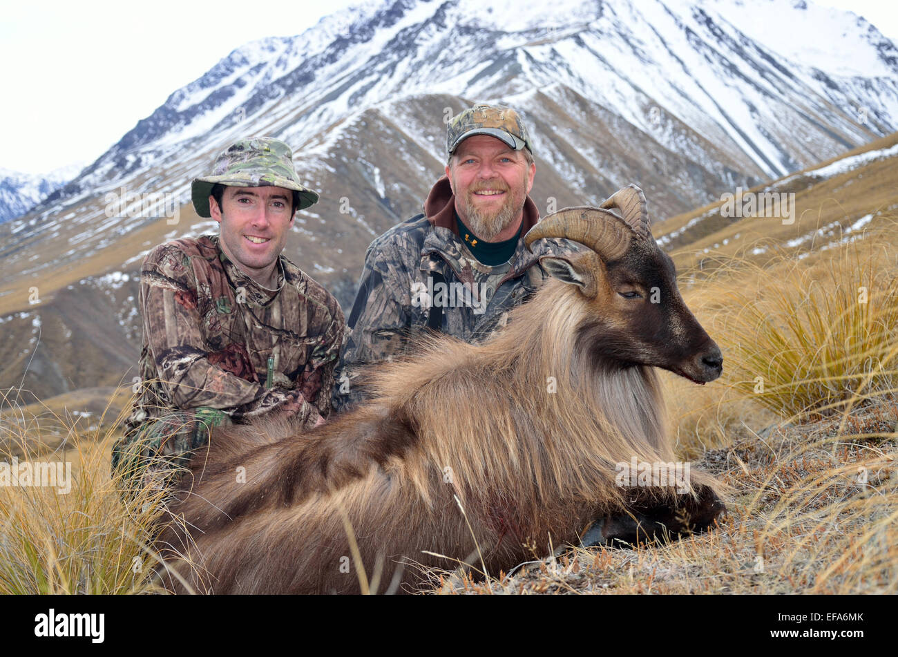 Erfolgreiche Jäger mit einer Himalaya-Tahr in der Südalpen Neuseelands Stockfoto