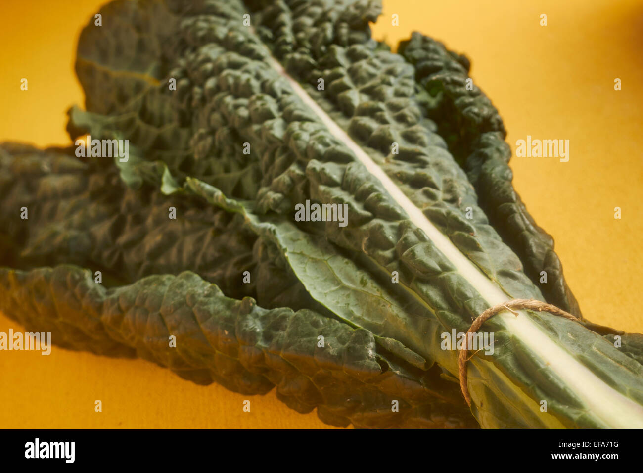 Bündel von raw frische toskanische Kale Stockfoto