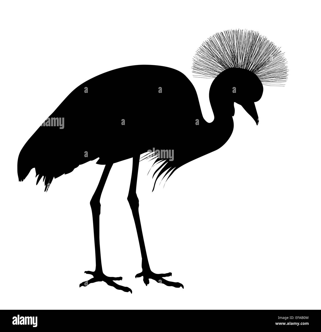 Afrikanische Kran. Vektor-silhouette Stockfoto