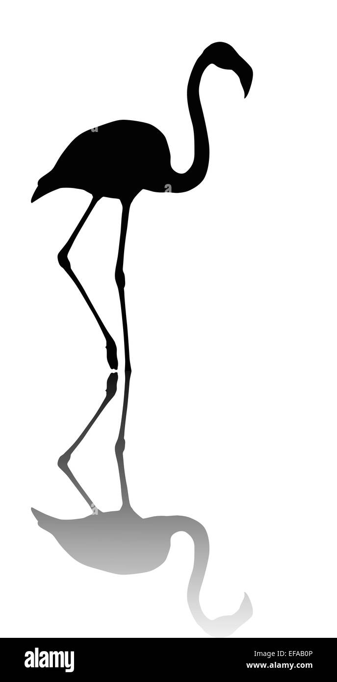 Flamingo Vektor Silhouette mit Reflexion Stockfoto