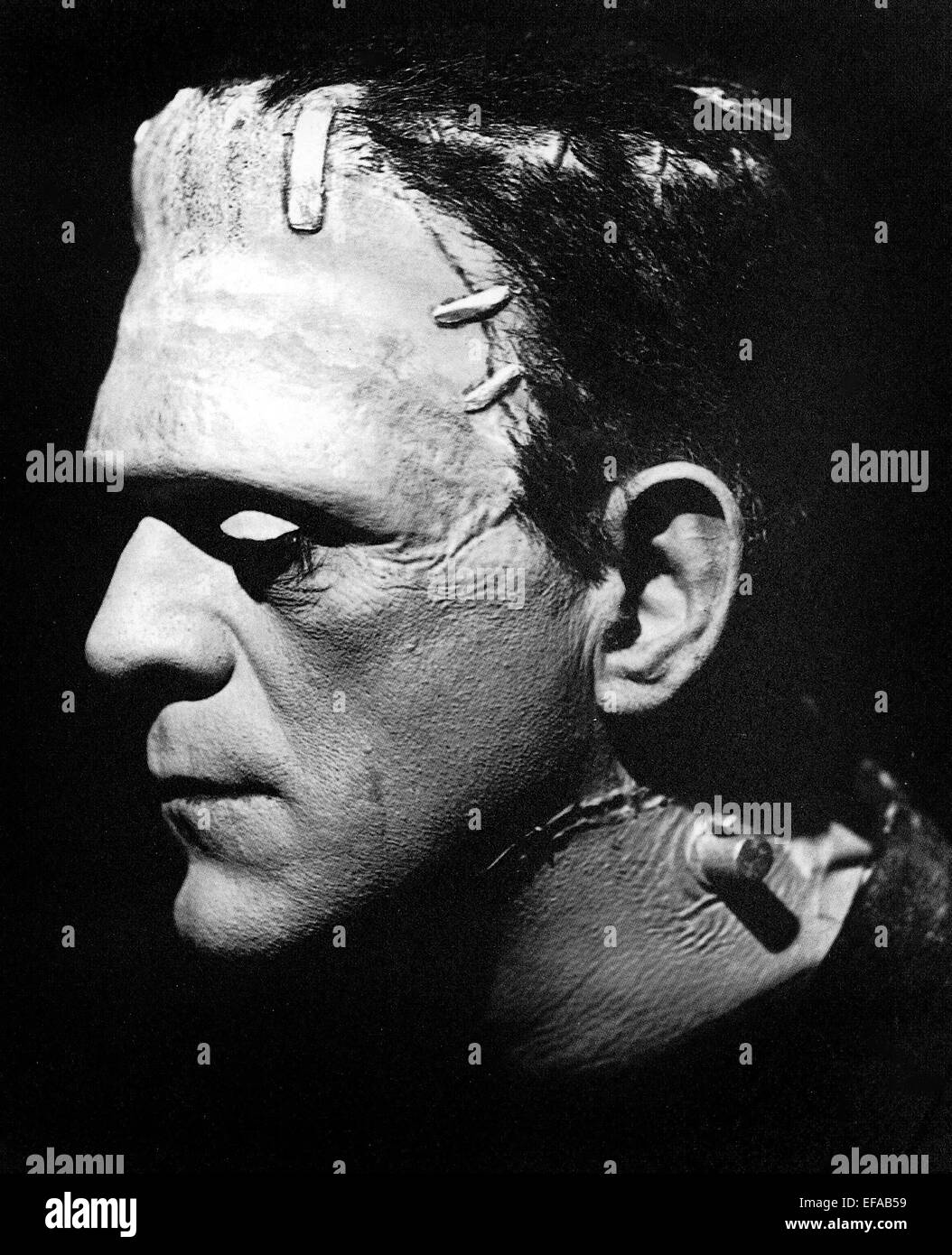 BORIS KARLOFF DIE BRAUT VON FRANKENSTEIN (1935) Stockfoto