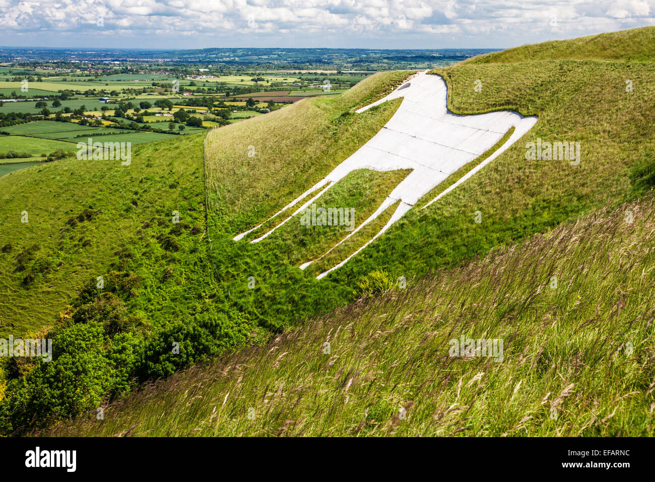 Das weiße Pferd unter Bratton Camp, eine Eisenzeit Burgberg in der Nähe von Westbury in Wiltshire. Stockfoto