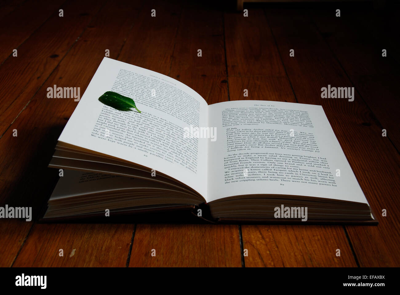 Offenes Buch auf Holztisch Stockfoto
