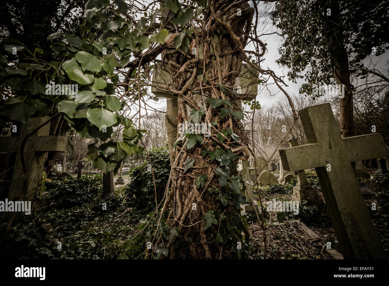 Highgate Cemetery (Ost) in Nord-London, UK Stockfoto