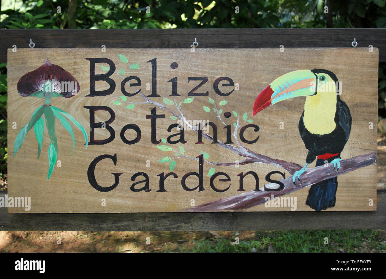 Melden Sie sich für die Belize Botanic Gardens Stockfoto