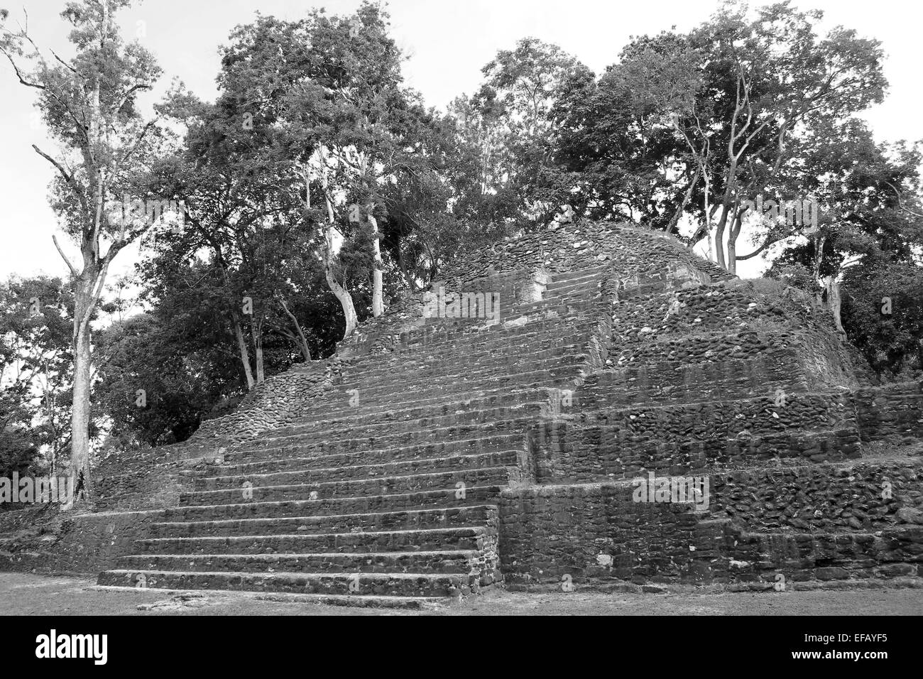 Maya Site von Cahal Pech, San Ignacio, Belize, Mittelamerika Stockfoto