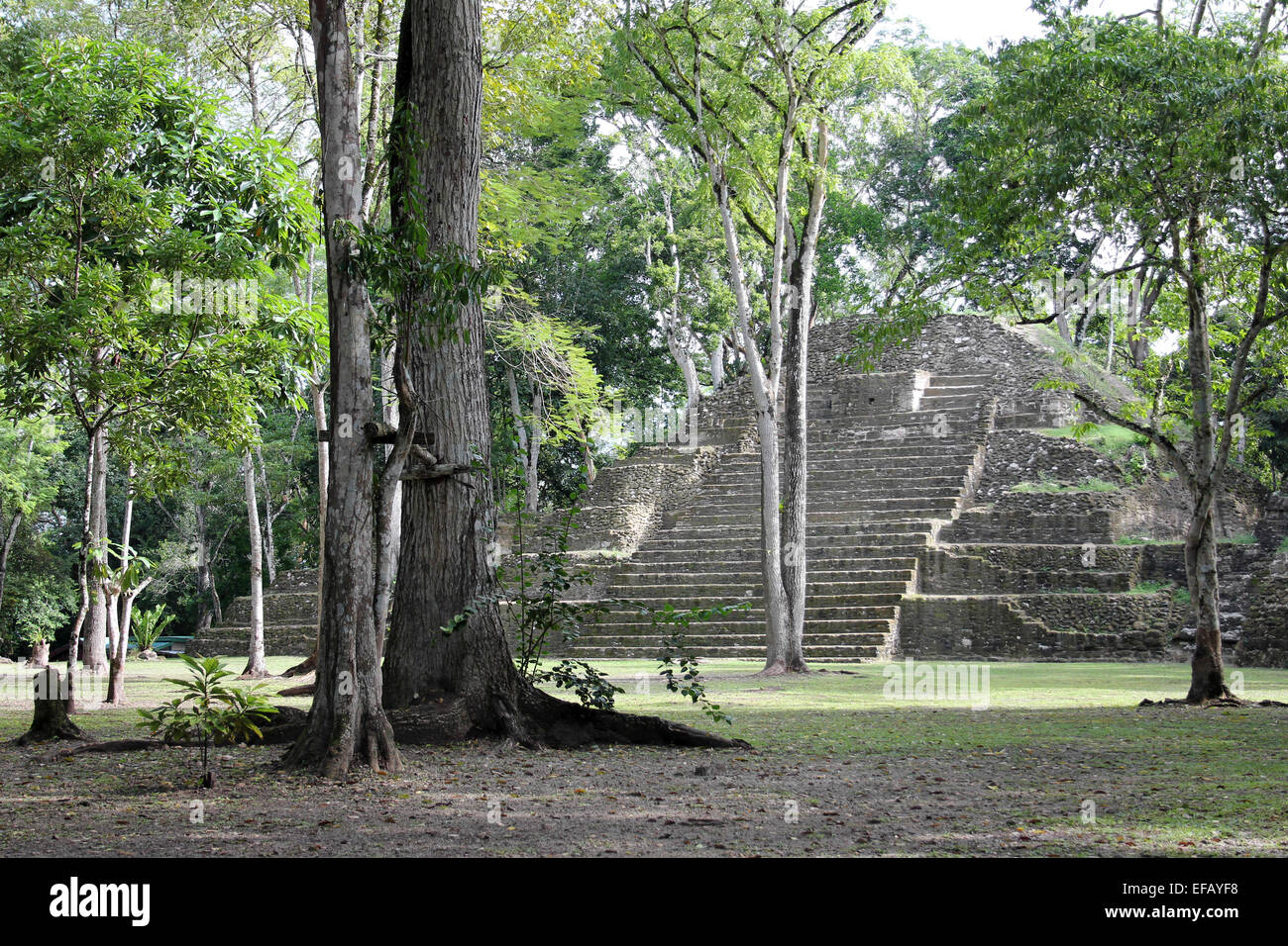 Maya Site von Cahal Pech, San Ignacio, Belize, Mittelamerika Stockfoto