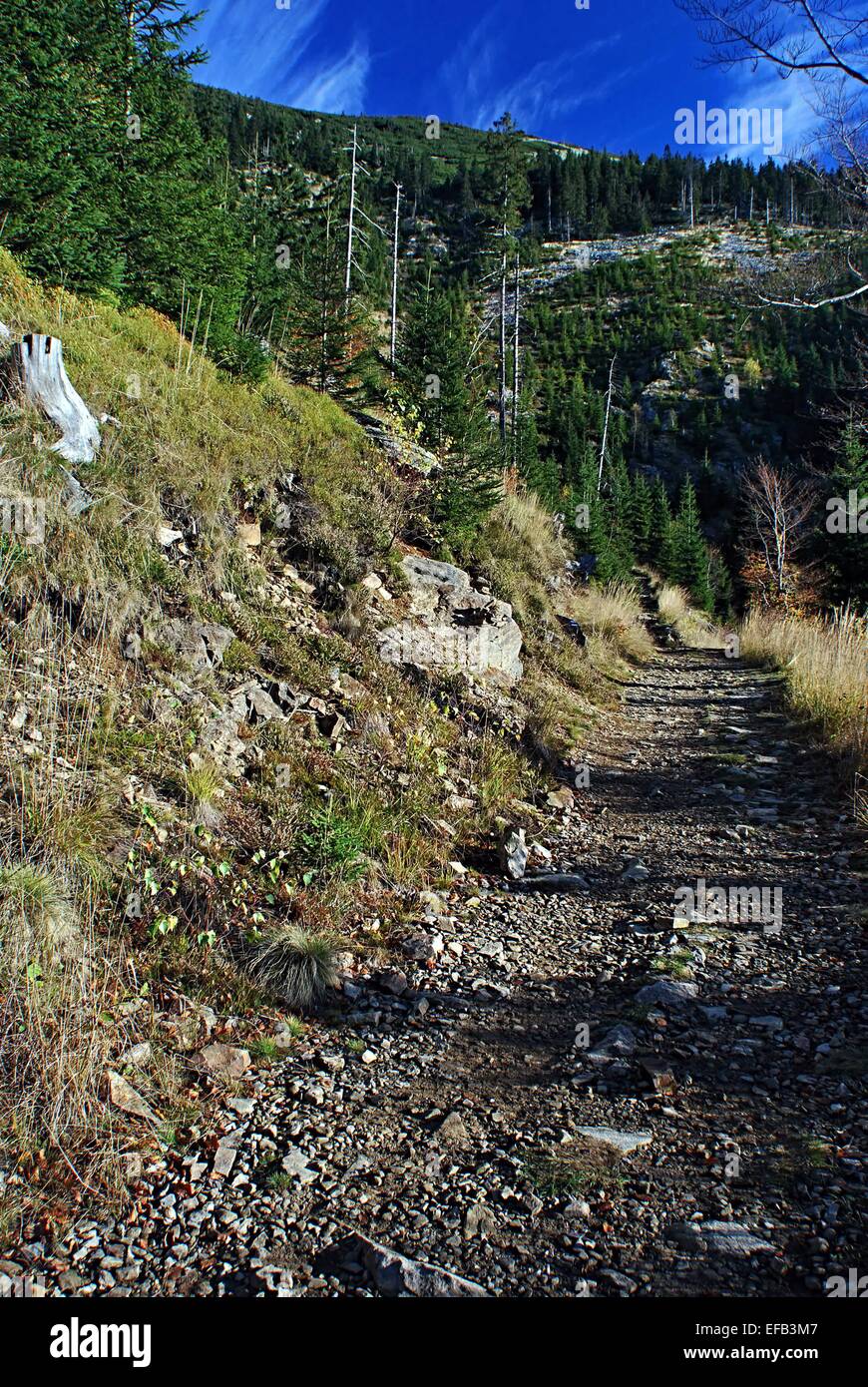 Fußweg im Herbst Riesengebirge Stockfoto