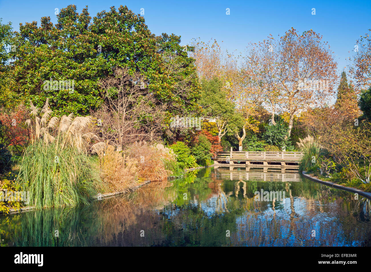 Bunte herbstliche chinesische Parklandschaft. Wandern rund um berühmte West Lake Park in der Innenstadt von Hangzhou, China Stockfoto