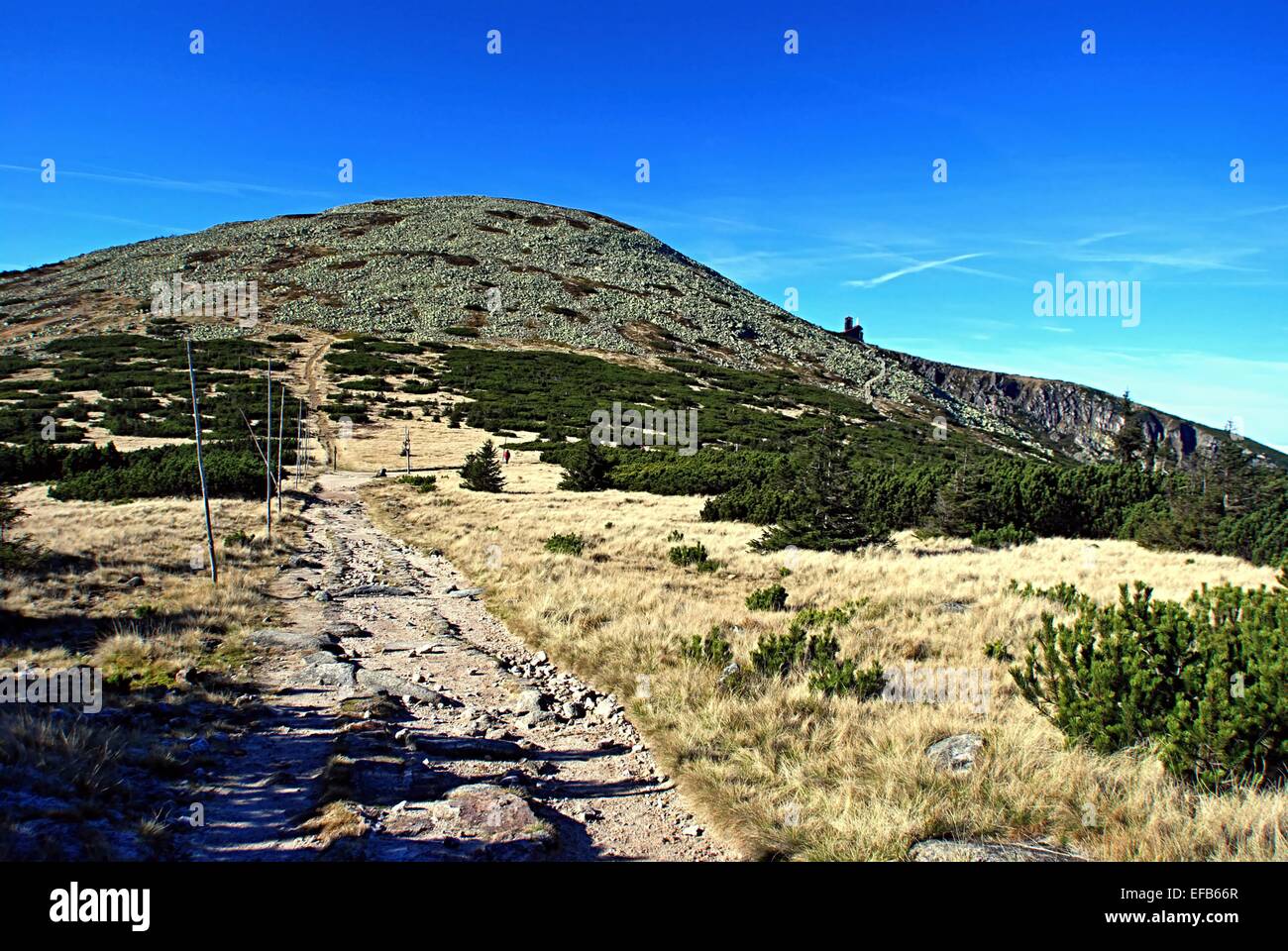 Vysoke Kolo Hügel im Riesengebirge Stockfoto