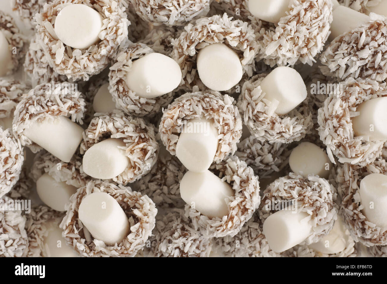 Kokosnuss Pilze Pilz geformt süß mit Dehydriertes Coconut mit einem Stiel Fondant überzogen Stockfoto