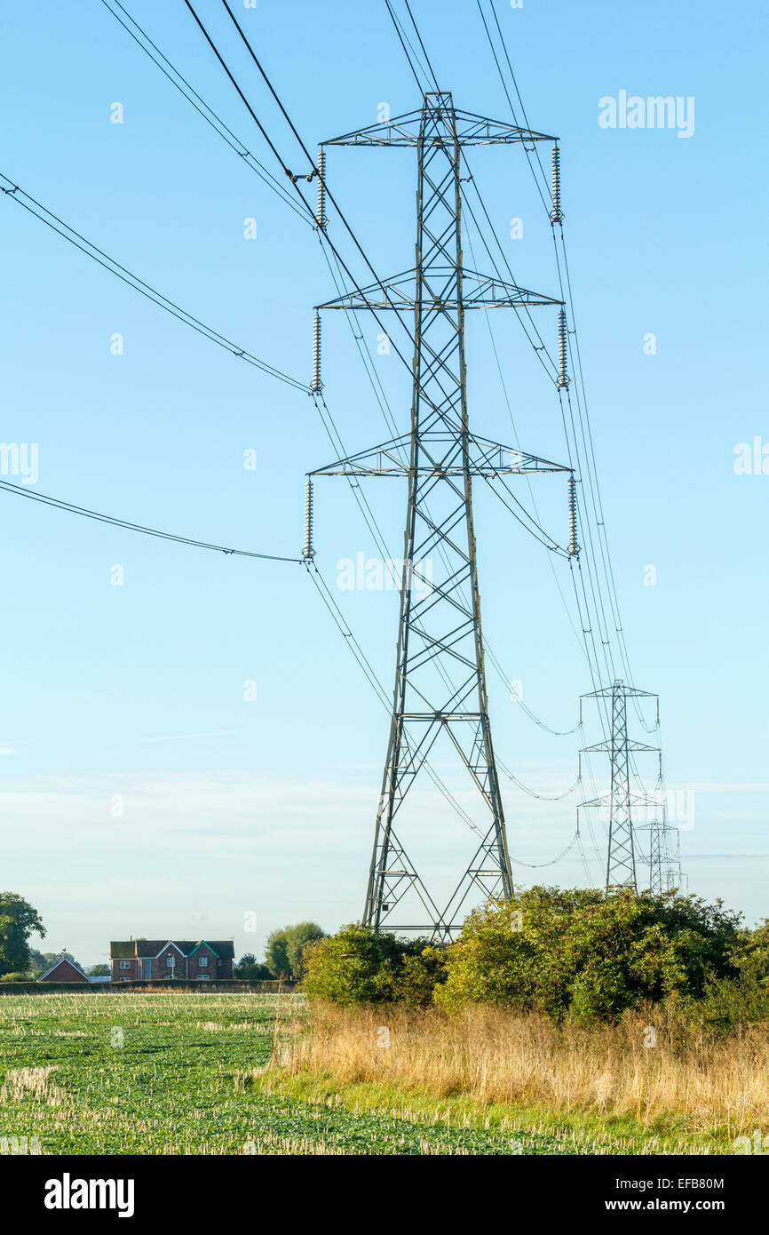 Strommasten mit Stromleitungen über Felder und dominieren in der Nähe Häuser, Stoke Bardolph, Nottinghamshire, England, UK Stockfoto