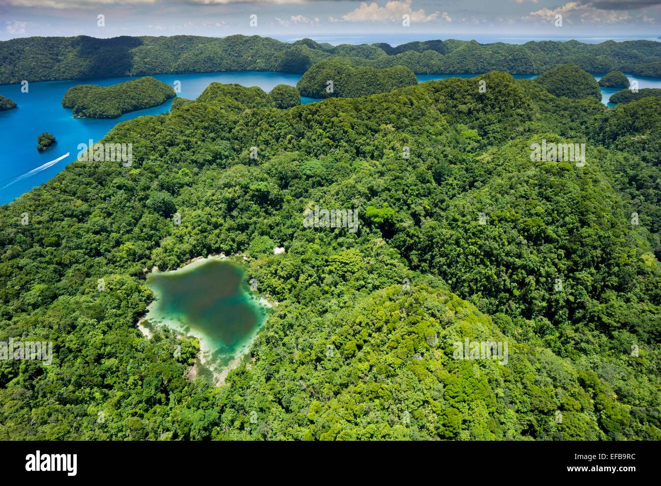 Palau Inselparadies Jellyfish Lake, Mikronesien - 2014 Stockfoto