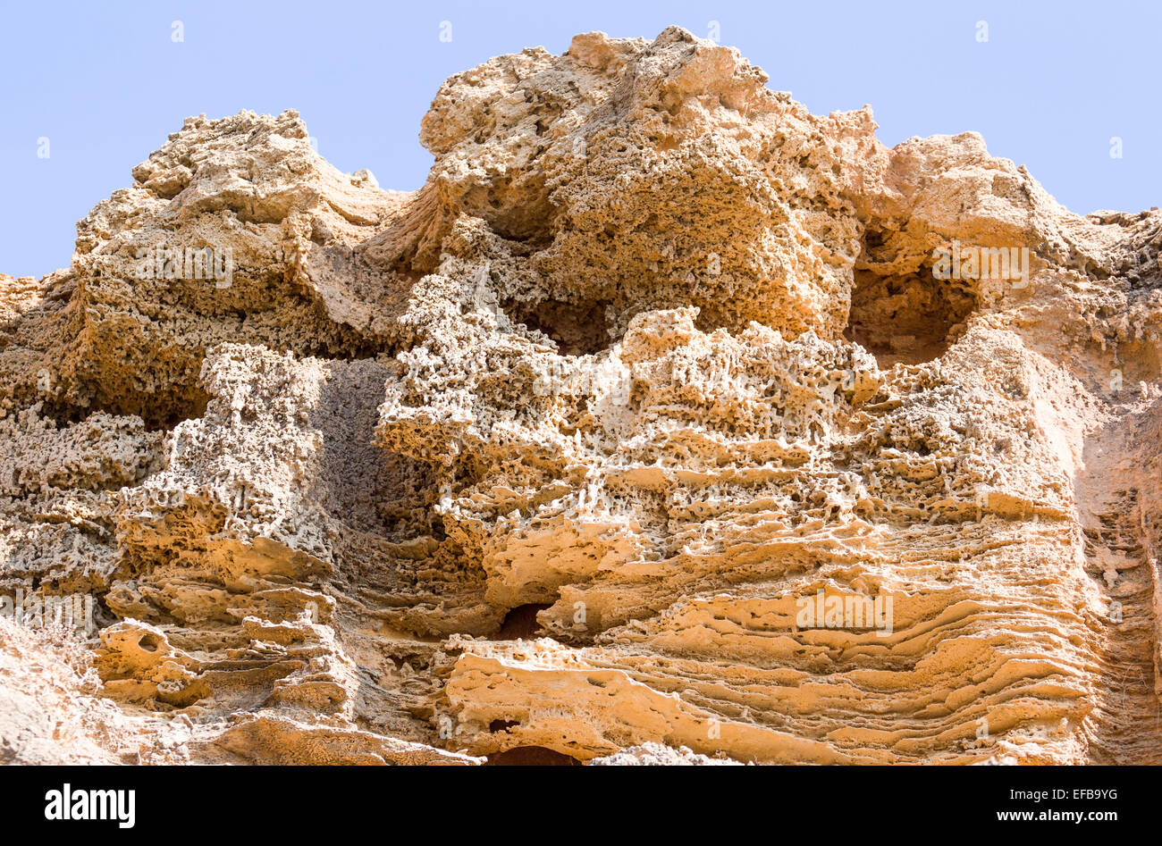 Kalkablagerungen auf der Nahaufnahme Strand in Sardinien, Italien. Stockfoto