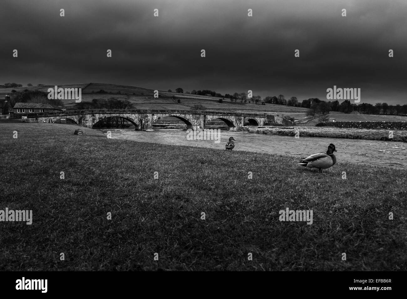 Burnsall Brücke in den Yorkshire Dales, UK Stockfoto