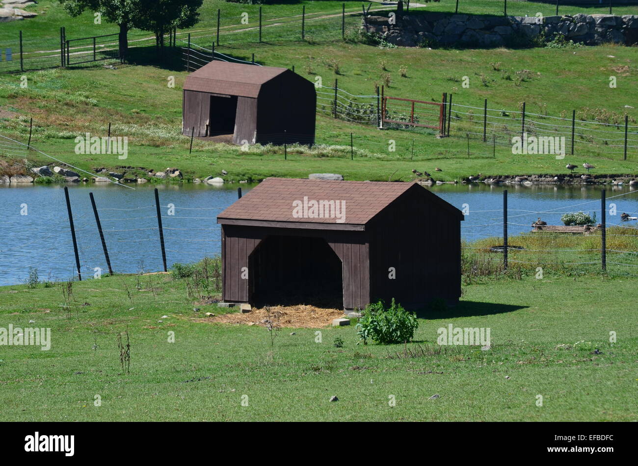Bauernhof Tierheime Stockfoto