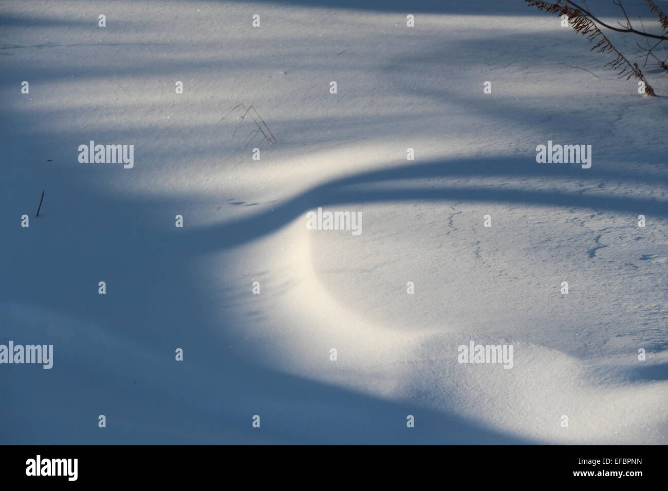 eine Winterszene Tiefschnee, mit Schatten Licht werfen auf den Schnee, Winter-Szene, driftet Schatten des Lichts, tiefen Schnee, Schnee Stockfoto