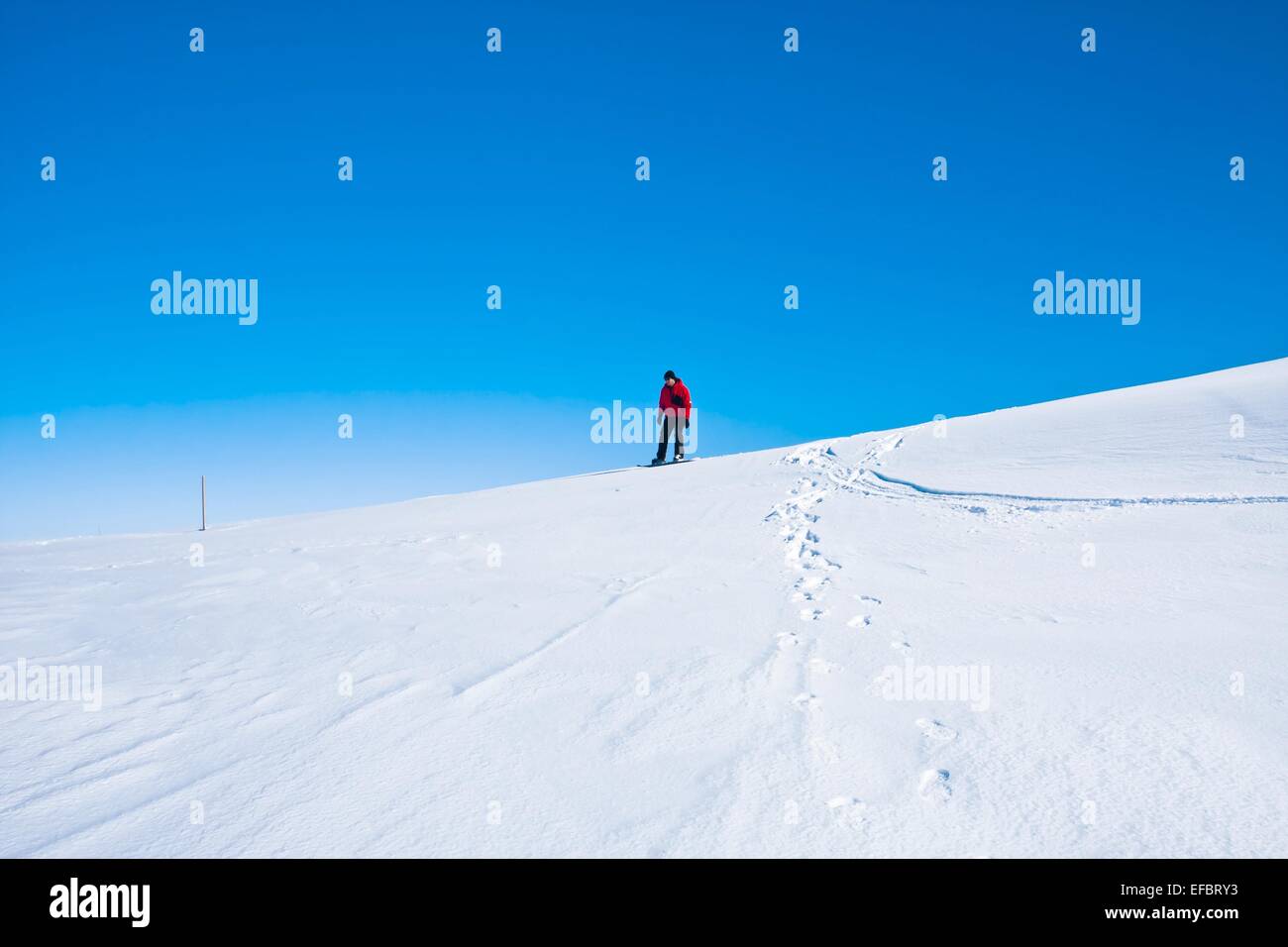 Man bewegt sich auf snowboard Stockfoto