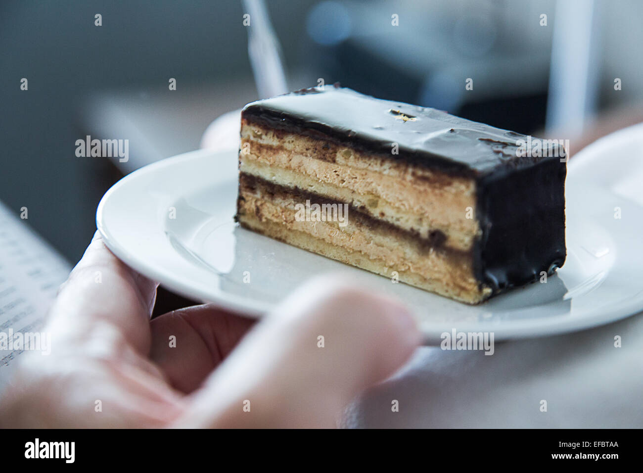 Seitenansicht des dekadenten Layer Cake Stockfoto