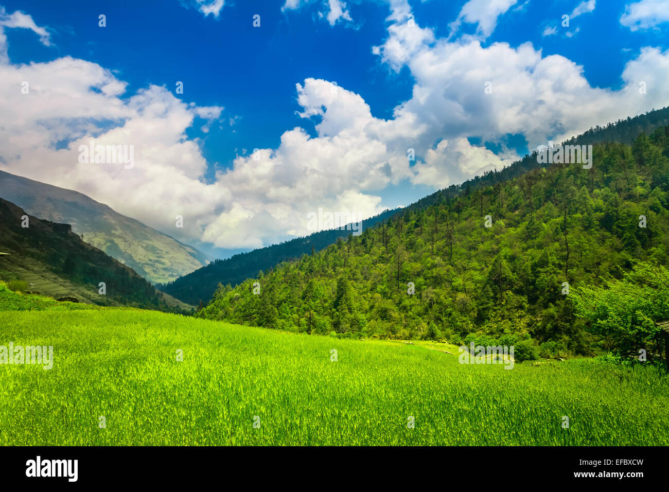 Himalaya-Gebirge Stockfoto