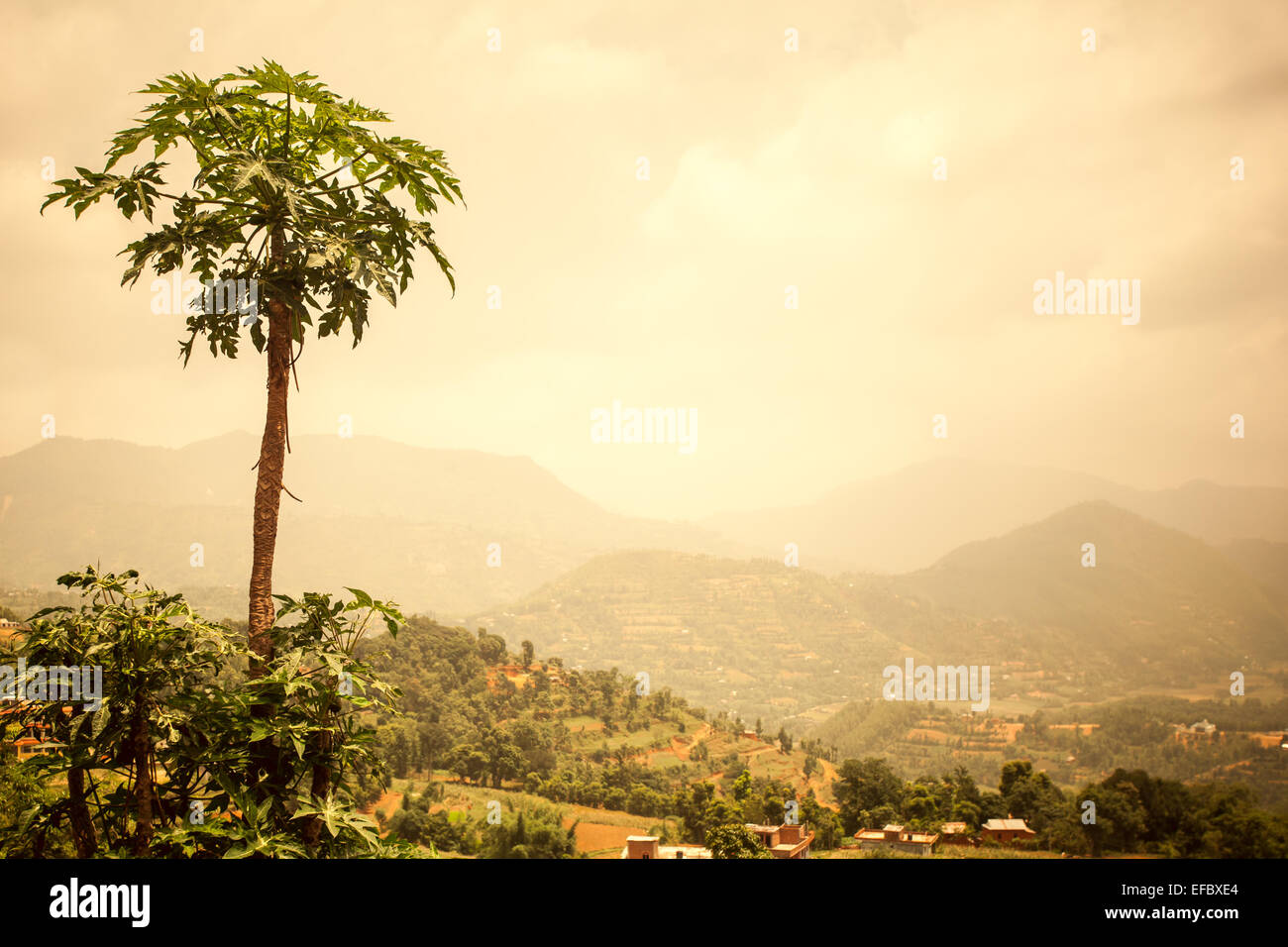 Schöne asiatische Landschaft Stockfoto