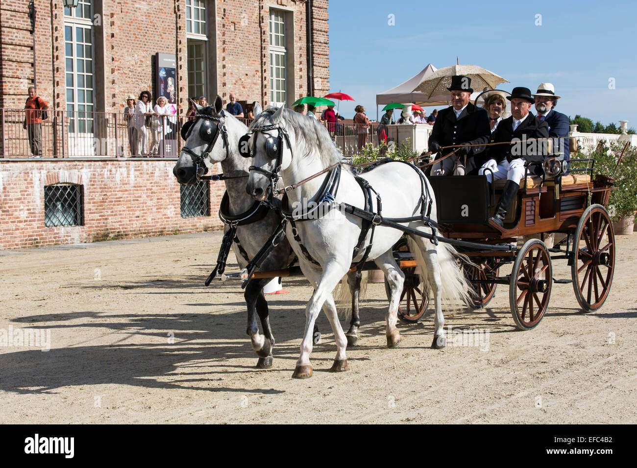 Internationaler Wettbewerb für traditionelle Wagen La Venaria Reale, Art der Beförderung: brechen, zwei Andalusier Stockfoto