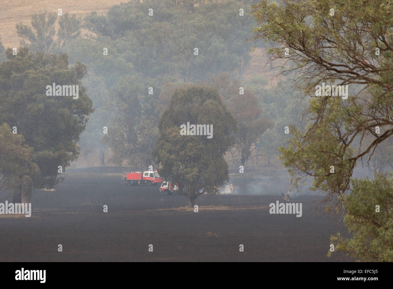 Ein Foto von den Nachwirkungen des ein Buschfeuer auf einer trockenen australischen Farm im zentralen westlichen NSW. Stockfoto