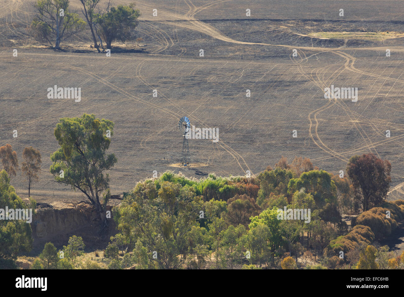 Ein Foto von den Nachwirkungen des ein Buschfeuer auf einer trockenen australischen Farm im zentralen westlichen NSW. Stockfoto