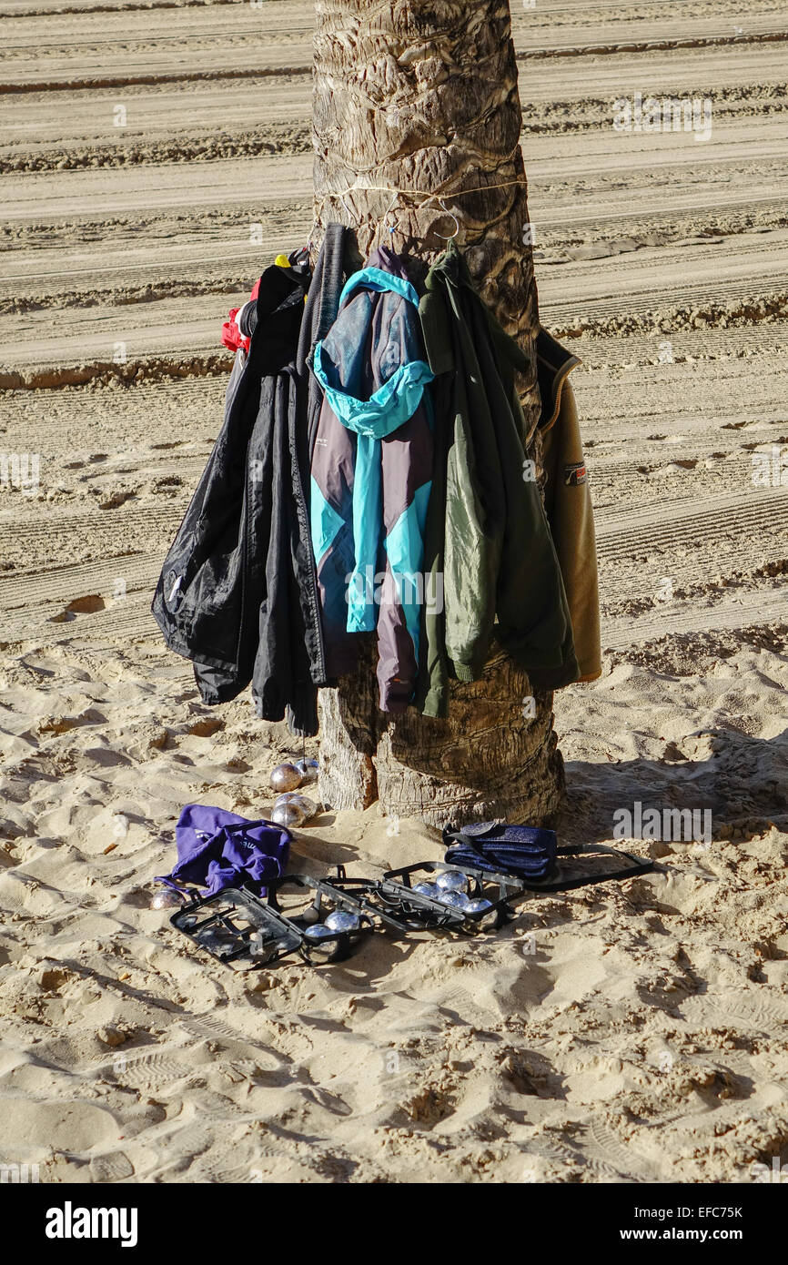 Jacken hängen an einer Palme, Benidorm, Costa Blanca, Spanien Stockfoto