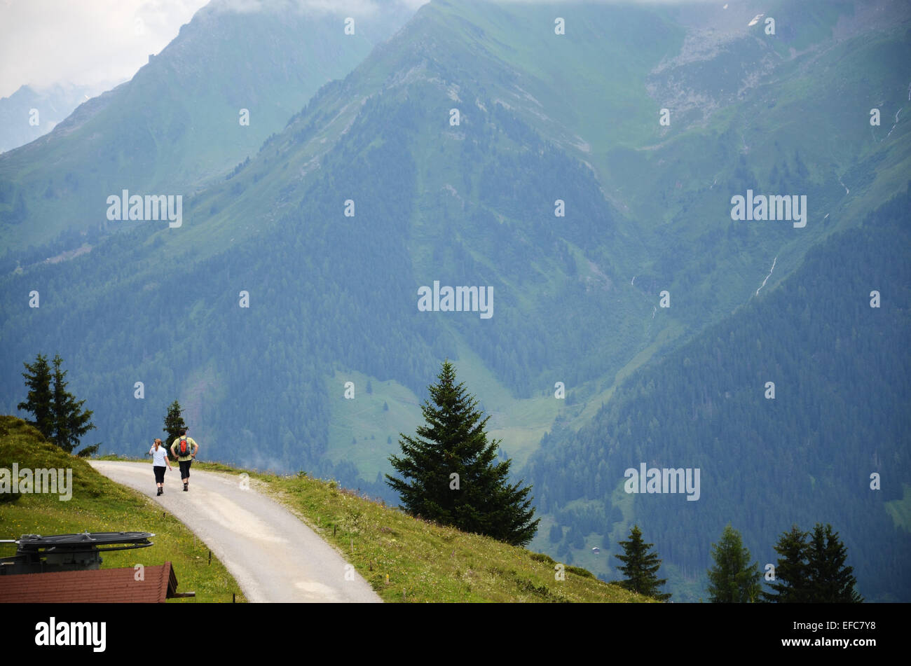 Penkenalm Ahorn Bergen, Zillertal Tirol Österreich Stockfoto