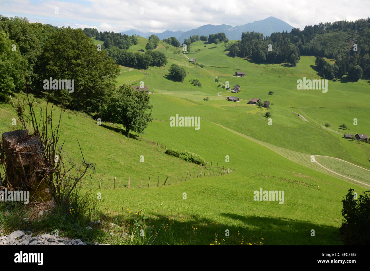 burgenstock-view-fotos-und-bildmaterial-in-hoher-aufl-sung-alamy