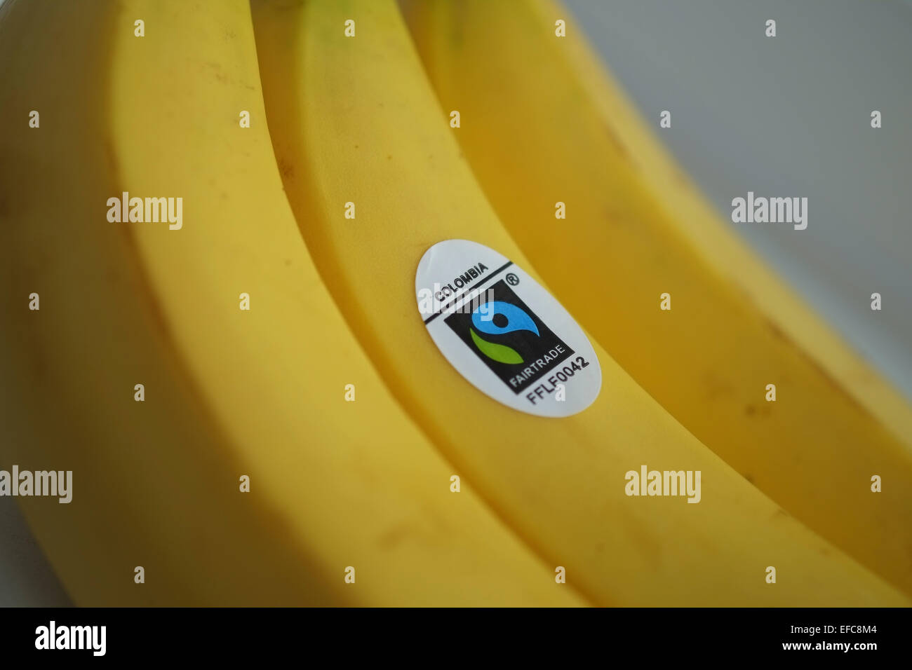 Fair-Trade-Bananen Stockfoto