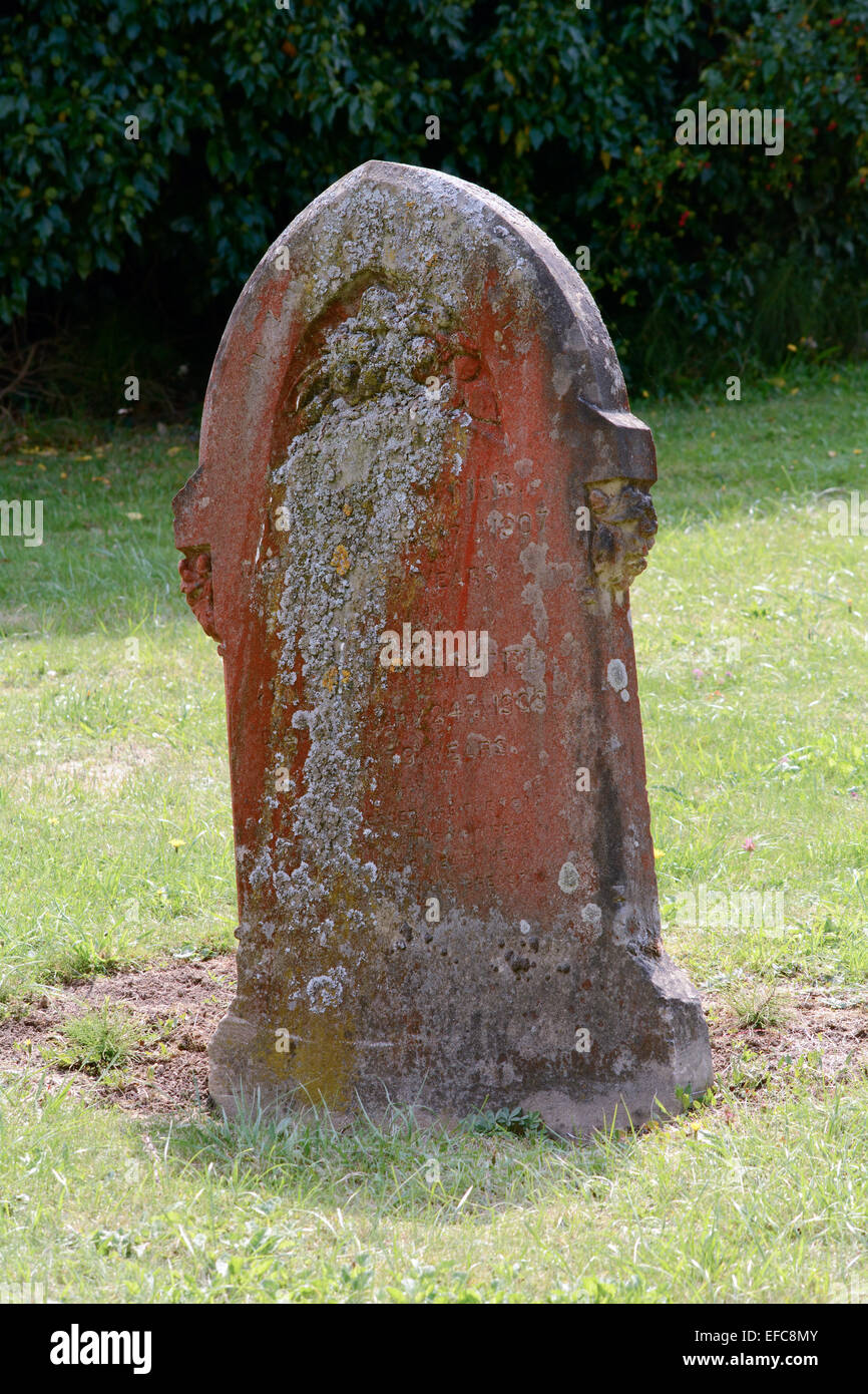 Grabstein gefärbt rot und gelb von Pflanzen im Friedhof von Bedford, Bedford, Bedfordshire, England Stockfoto