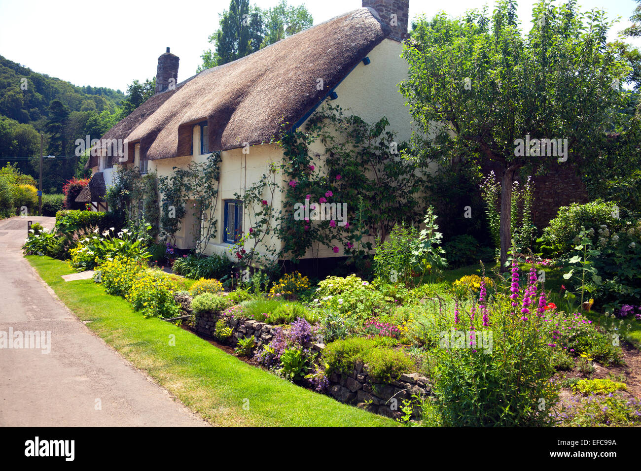 Einer malerischen strohgedeckten Haus und Garten in Dunster, Somerset, England, UK Stockfoto