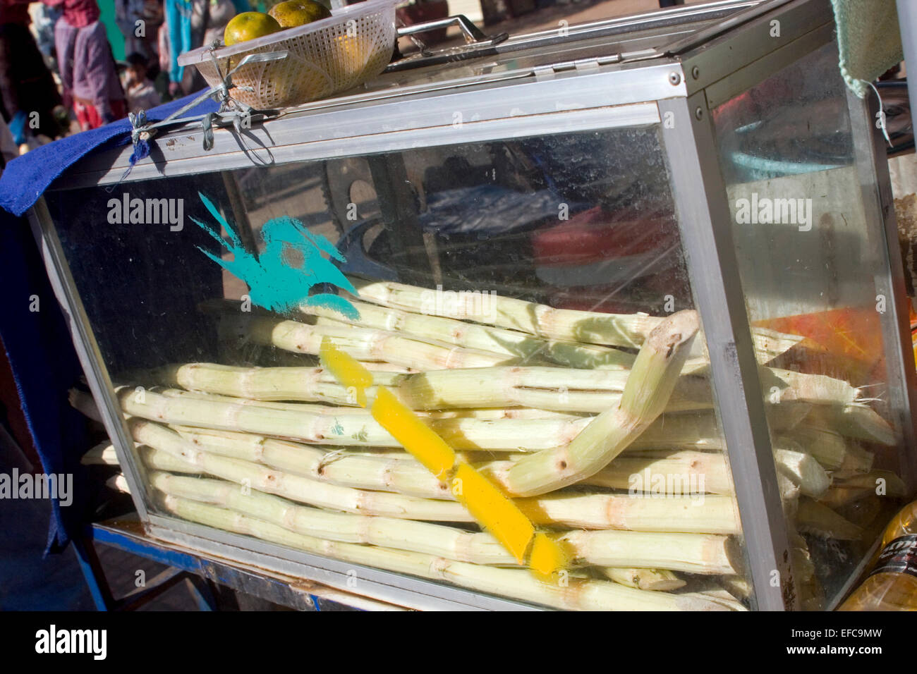 Zuckerrohr wird in einem Glaskasten auf einem mobilen Lebensmittel-Wagen auf einer Stadtstraße in Kampong Cham, Kambodscha eingeschlossen. Stockfoto