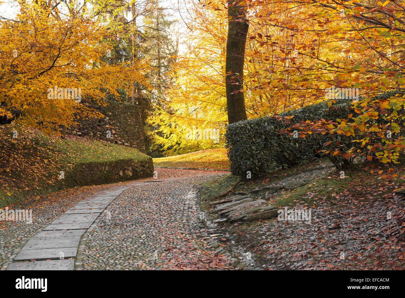 Herbstfarben in den Park von Heiligen Mount Orta, Piemont Stockfoto
