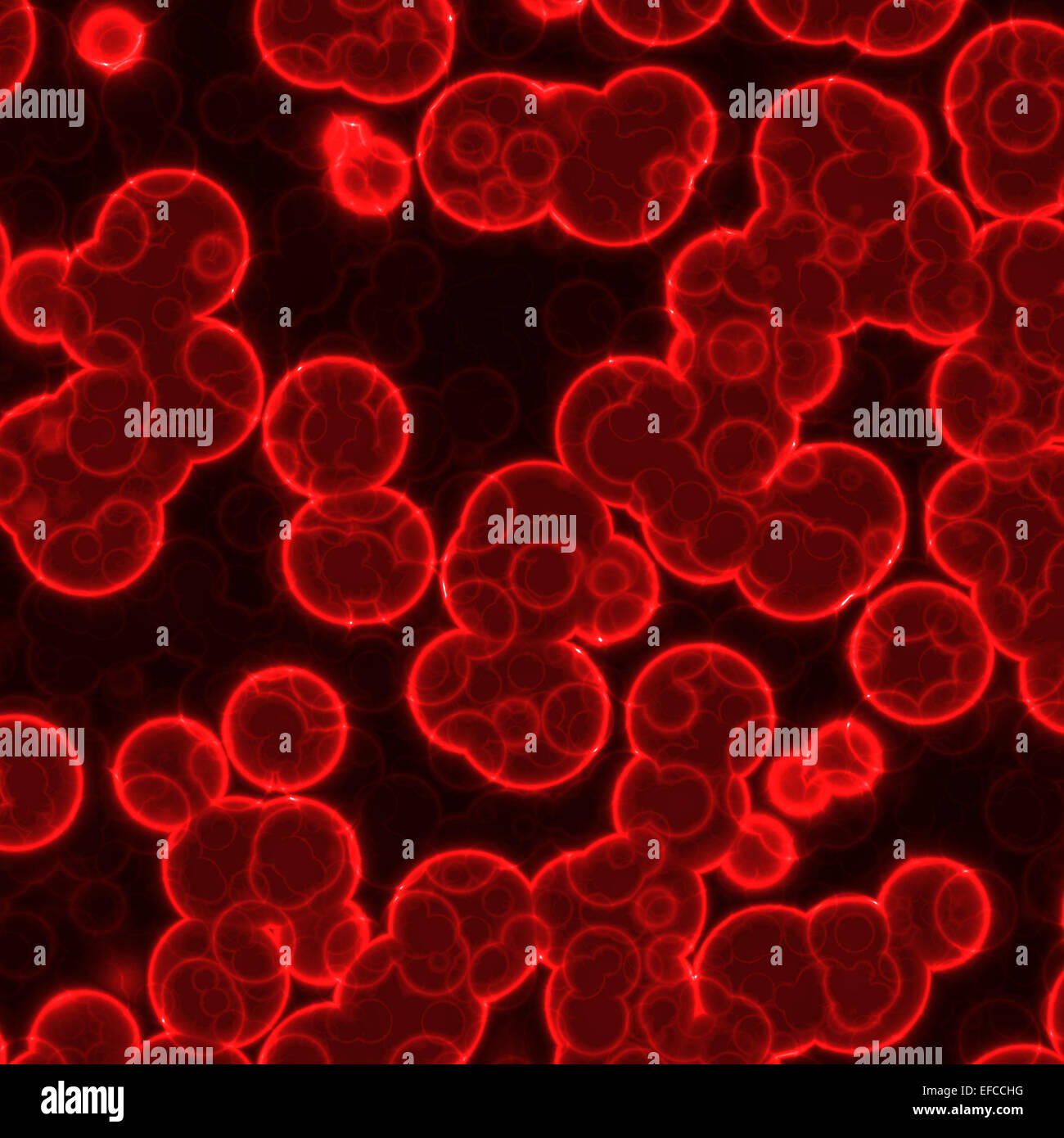 Red Mikroben unter dem Mikroskop Stockfoto