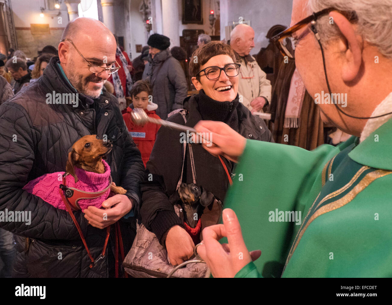 Eigentümer mit ihren Haustieren besuchen einen speziellen Service mit einem Segen Tiere, Kirche von S Giovanni Battista, Venedig, Italien Stockfoto
