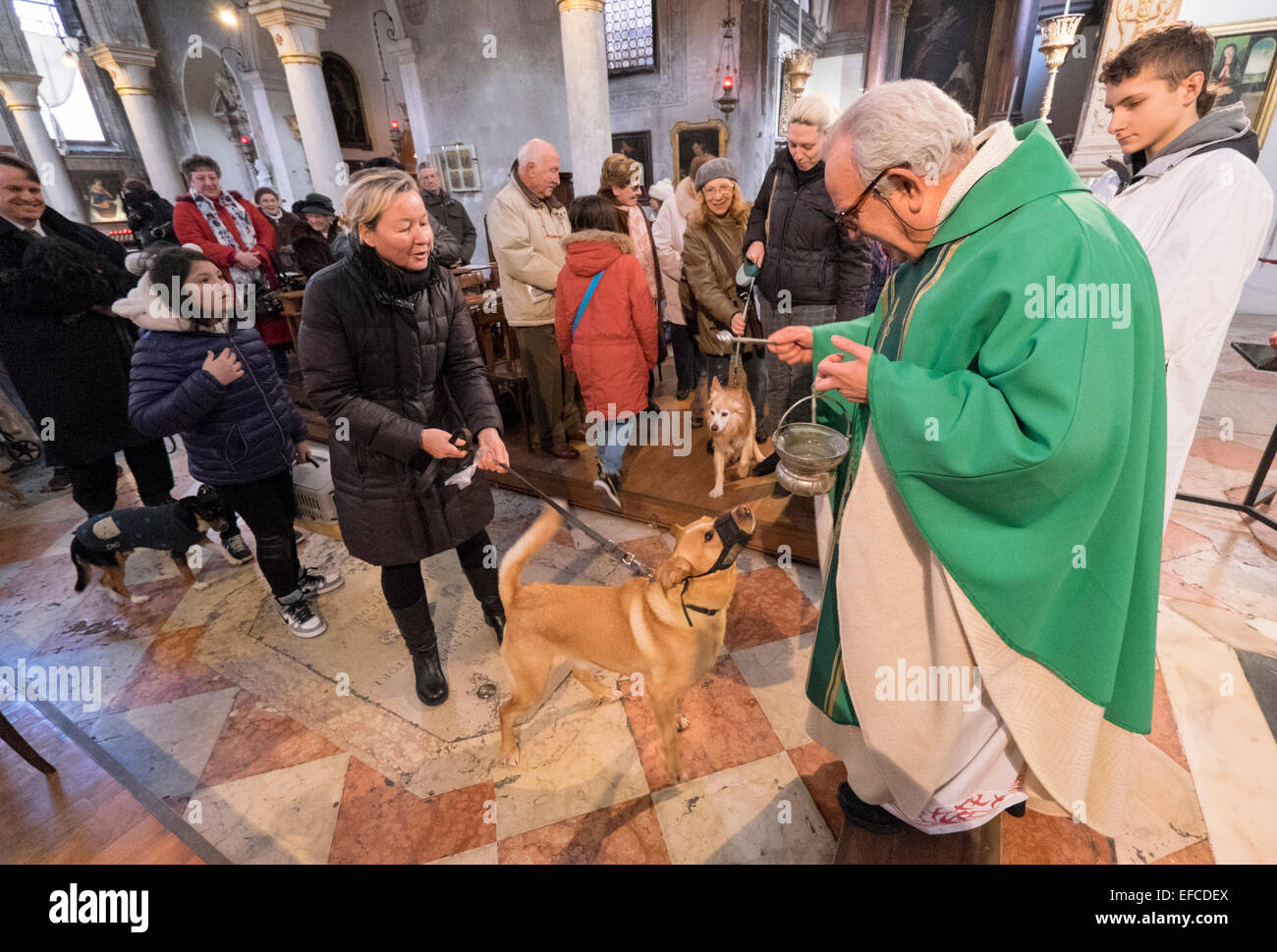 Eigentümer mit ihren Haustieren besuchen einen speziellen Service mit einem Segen Tiere, Kirche von S Giovanni Battista, Venedig, Italien Stockfoto