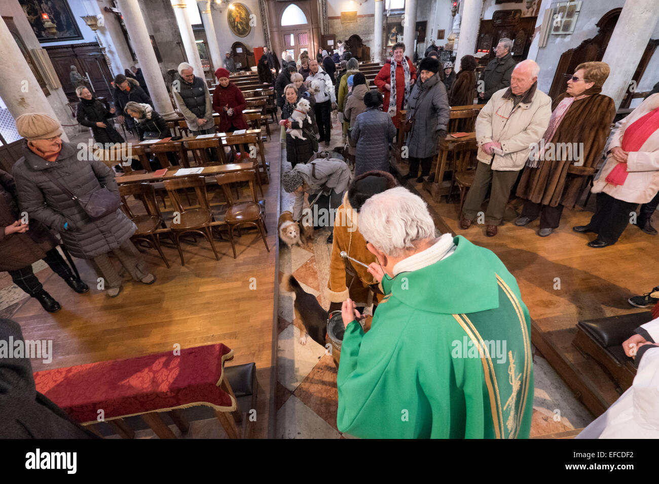 Eigentümer mit ihren Haustieren besuchen einen speziellen Service mit einem Segen Tiere, Kirche von S Giovanni Battista, Venedig, Italien Stockfoto