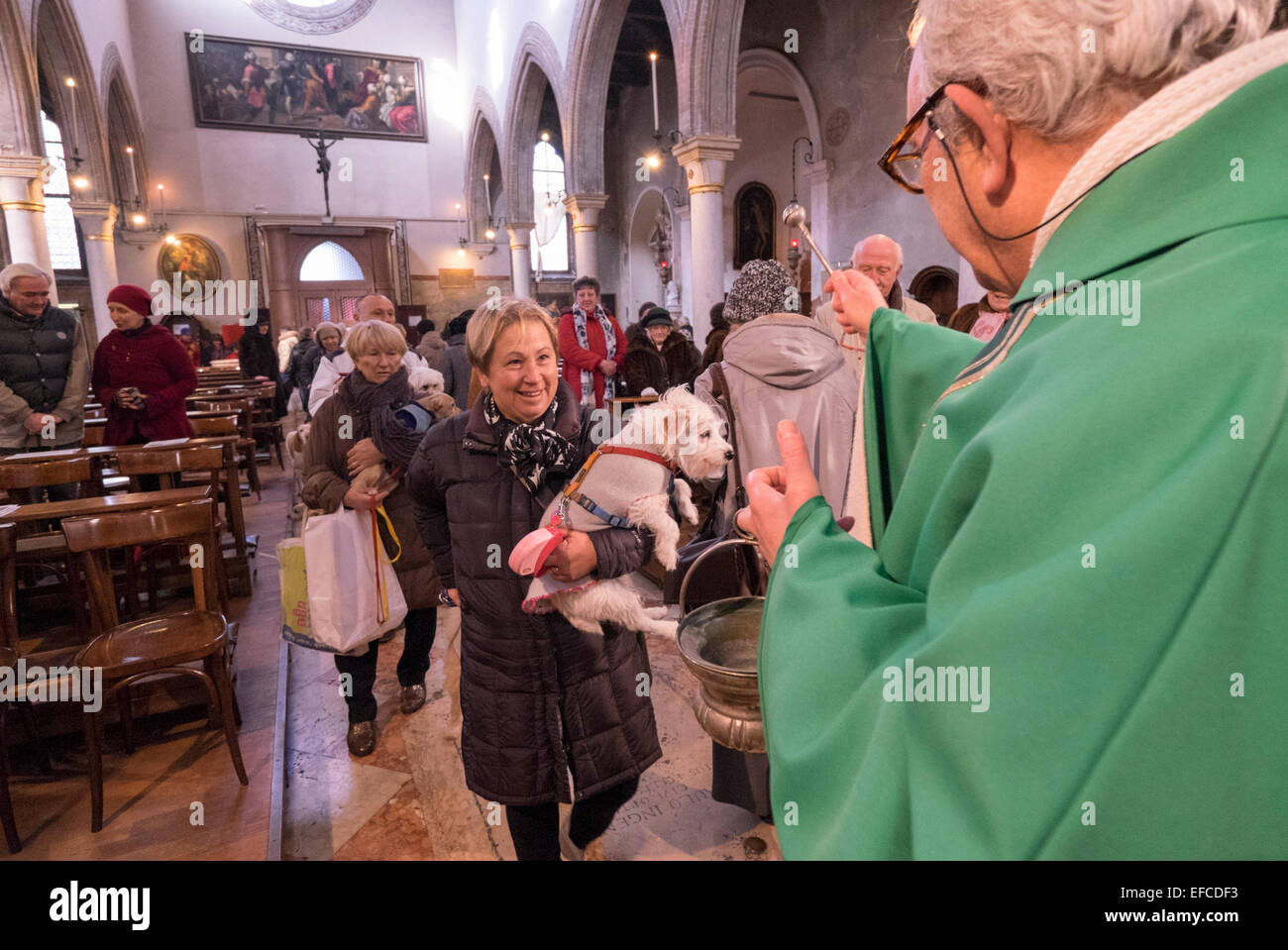Eigentümer mit ihren Haustieren besuchen einen speziellen Service mit einem Segen Tiere, Kirche von S Giovanni Battista, Venedig, Italien Stockfoto