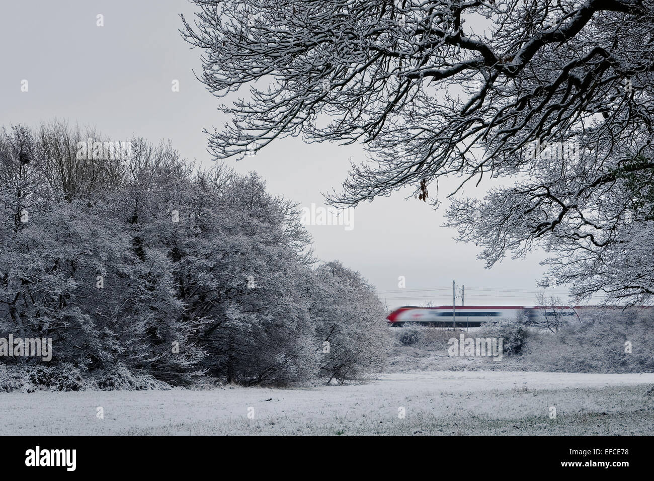 Virgin Trains trainieren Durchreise Cheshire Schneelandschaft auf einem düsteren bewölkten Tag. Stockfoto