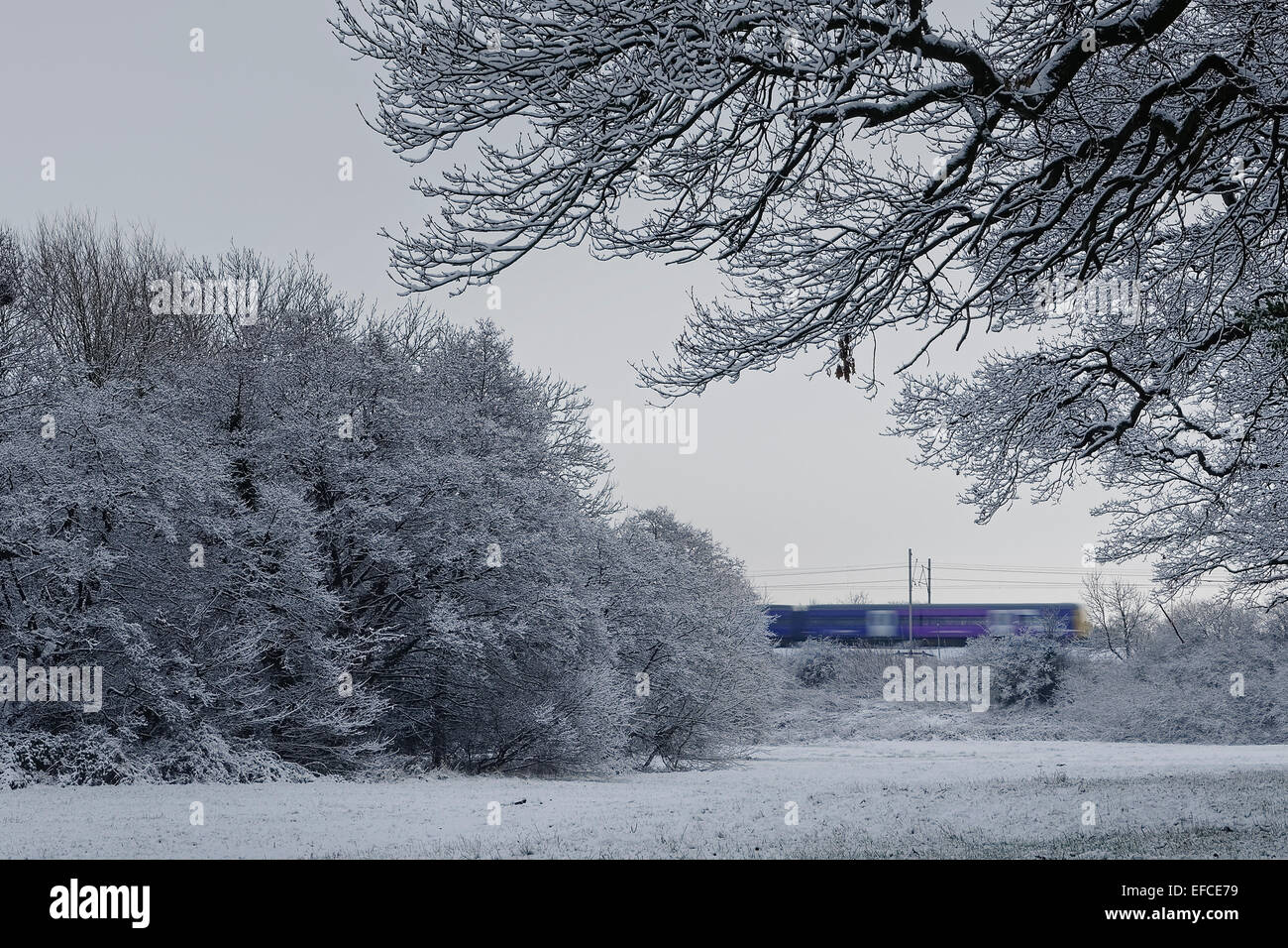 Northern Rail train Durchreise Cheshire Schneelandschaft auf einem dunklen bewölkten Tag. Stockfoto