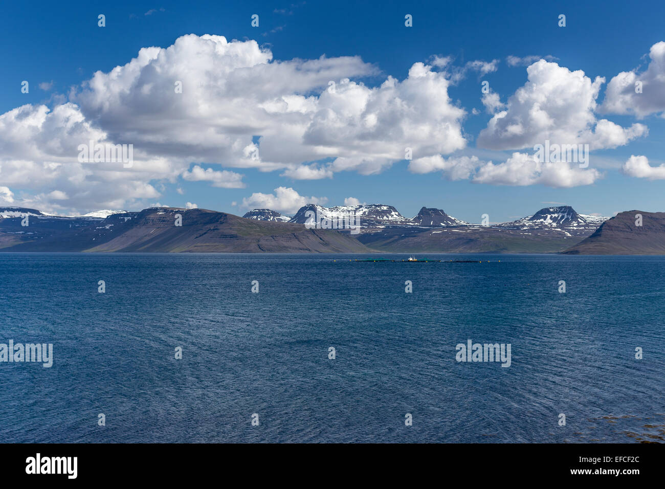 Islands Westfjorde Látrabjarg Wolken über fjord Stockfoto