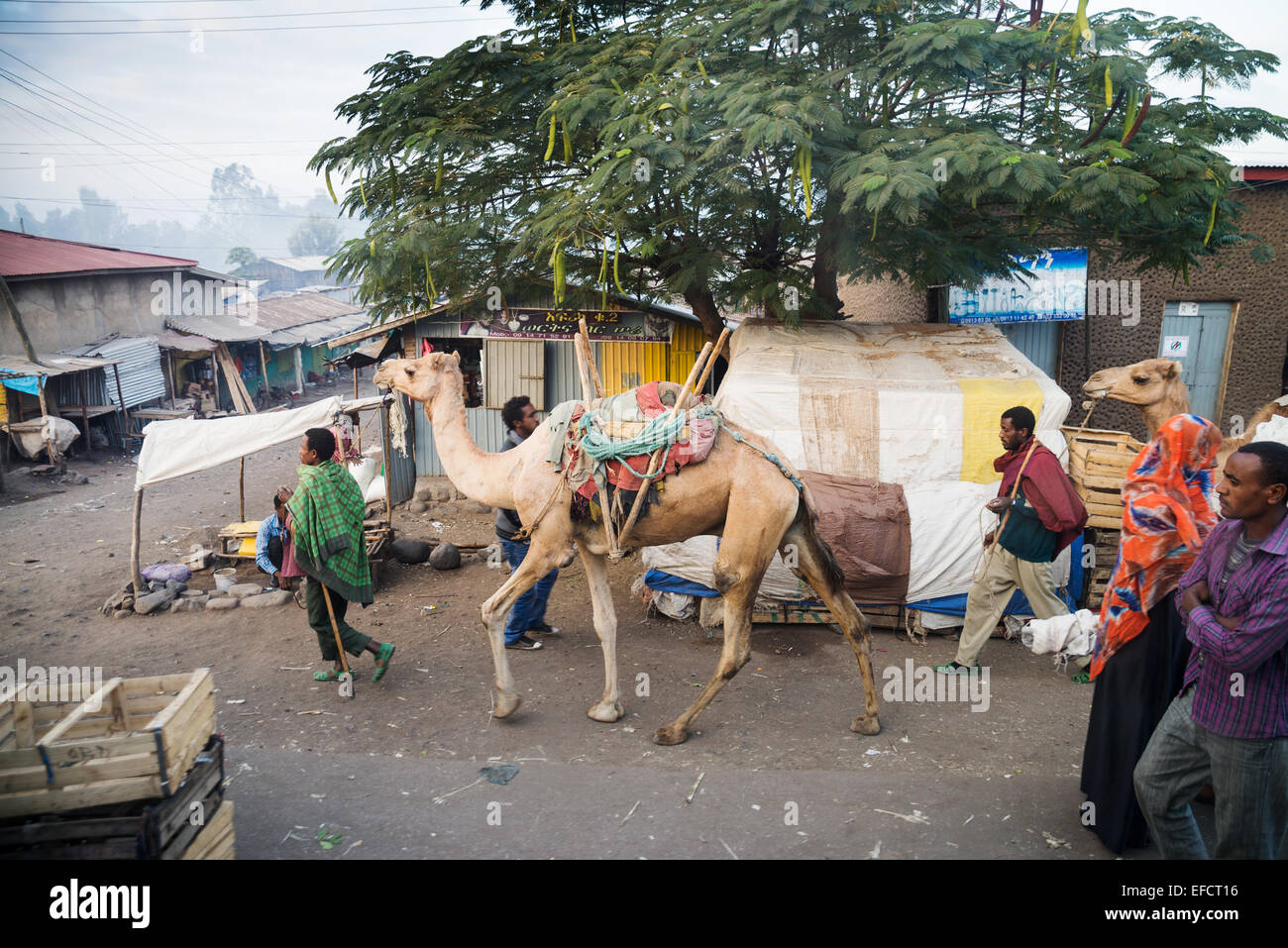 Dessie Markt in der Nähe Busbahnhof in Nord-Äthiopien, Afrika Stockfoto