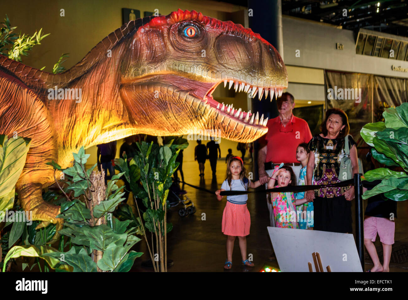Miami Beach Florida, Convention Center, Zentrum, Dinosaurier entdecken, Veranstaltung, lebensähnlich, praxisnah, Familien Eltern Eltern Kinder, Blick wat Stockfoto