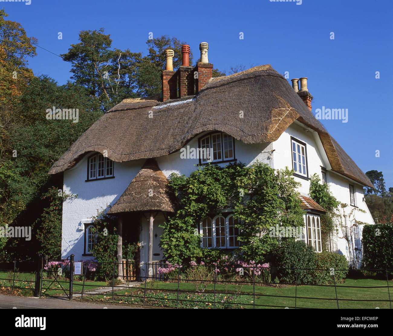 Hütte am Schwan grün, New Forest, Lyndhurst, Hampshire, England, Vereinigtes Königreich Stockfoto