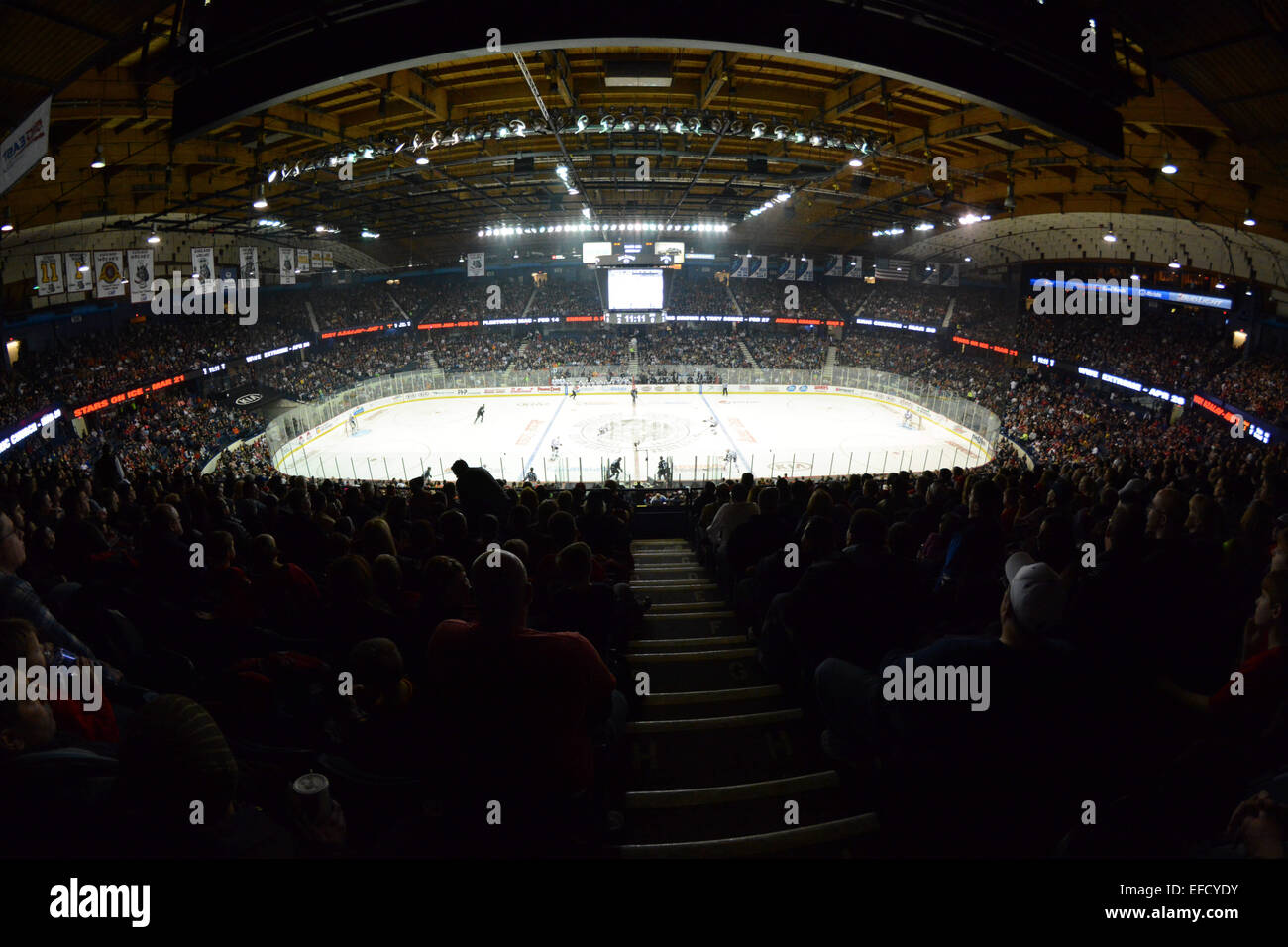 31. Januar 2015: 16.280 Fans besuchen die American Hockey League-Spiel zwischen den Chicago Wolves und die Rockford IceHogs in der Allstate Arena in Rosemont, Illinois. Chicago Wolves gewann 4: 1 gegen die Rockford IceHogs. Patrick Gorski/CSM Stockfoto